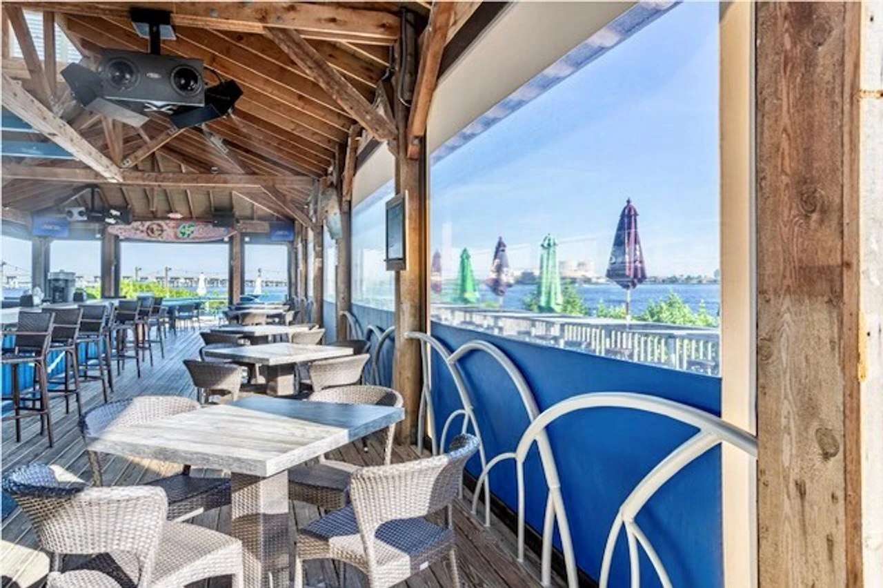 Genius Motorized Vinyl Screens